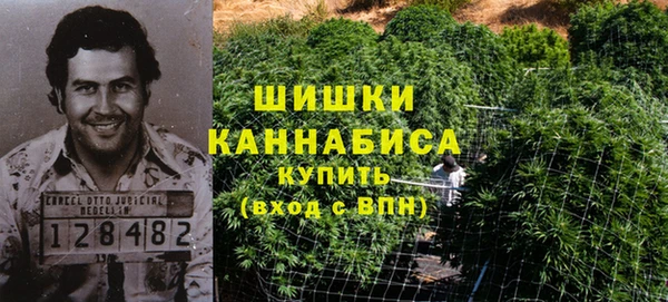 эйфоретик Дмитровск
