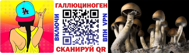 мориарти официальный сайт  цены   Чердынь  Галлюциногенные грибы GOLDEN TEACHER 